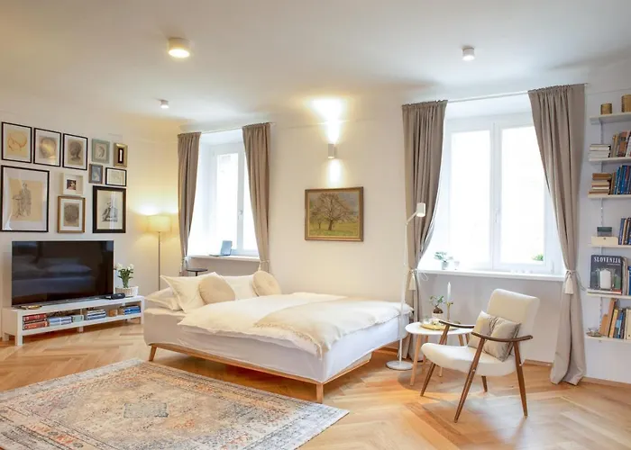 Stylish In Historical Center Liubliana